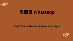 墨西哥 Whatsapp