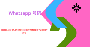 Whatsapp 号码