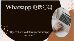 WhatsApp 号码数据