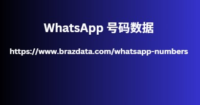 WhatsApp 号码数据